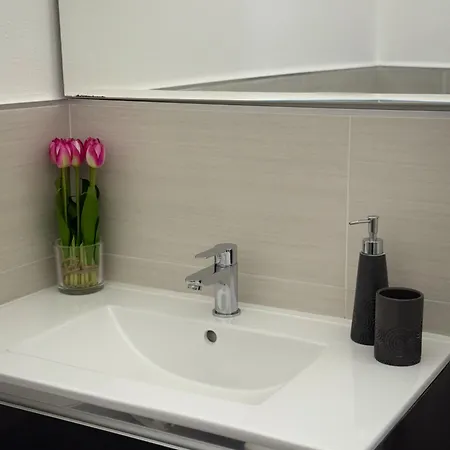 Bentus 维拉西米乌斯